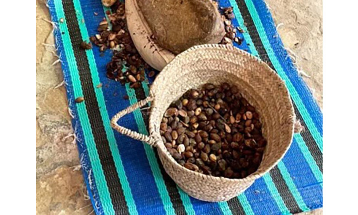 Les bénéfices de l’huile d’argan