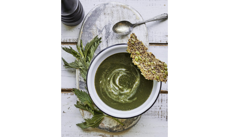 Soupe à l'ortie