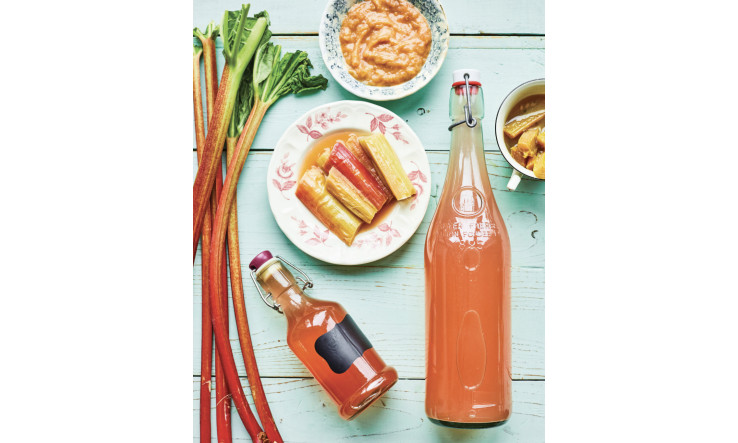Recettes avec de la rhubarbe