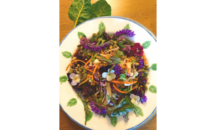 Salade MJ version sauvage de Marie-Ève