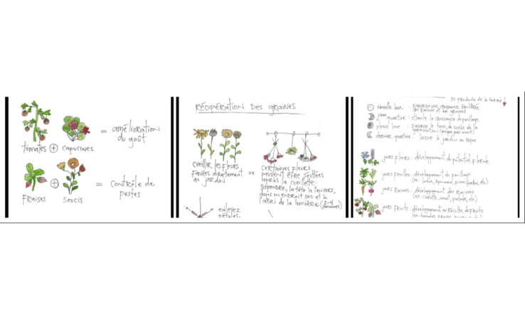 Quelques pas vers la permaculture