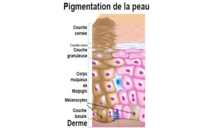 Soin des Taches