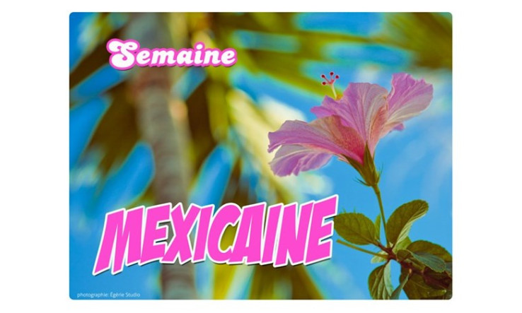Épicerie et menu pour semaine mexicaine avec pinto et riz brun