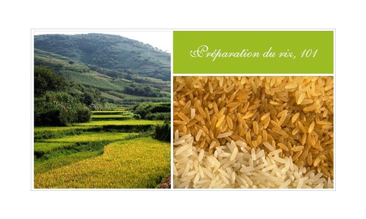 Préparation du riz, 101