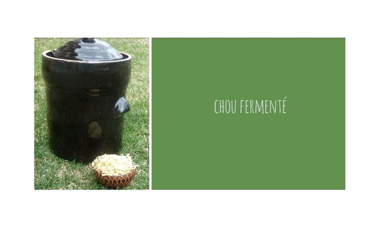 Chou fermenté