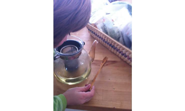 Tisane de la déesse (pour le système nerveux et hormonal)