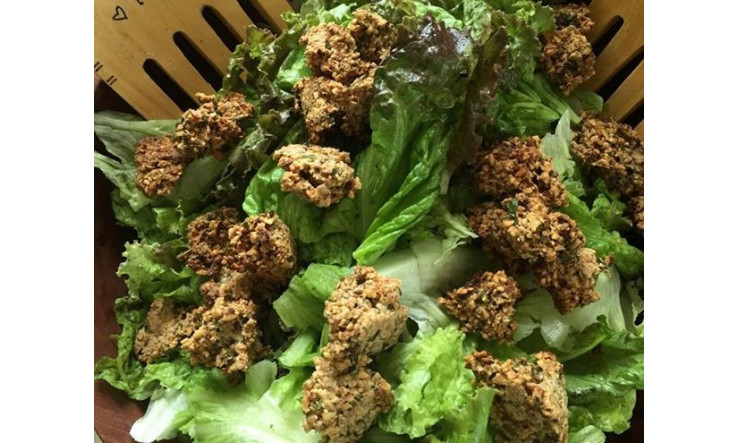Croûtons nutritifs sans gluten aux fines herbes du balcon