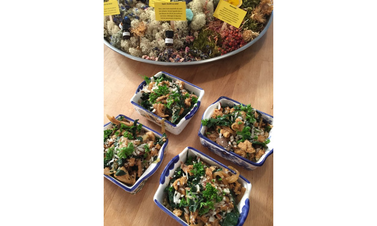 Plat "traditionnel" au millet et champignons de David