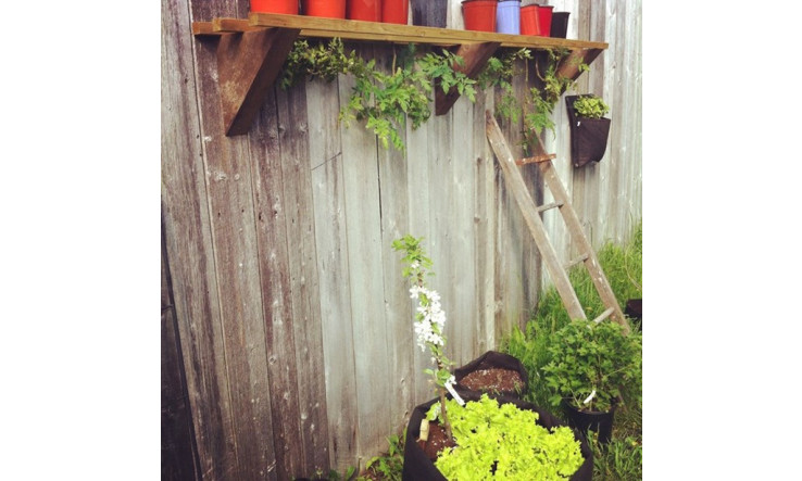 Faire pousser ses tomates façon renversée!