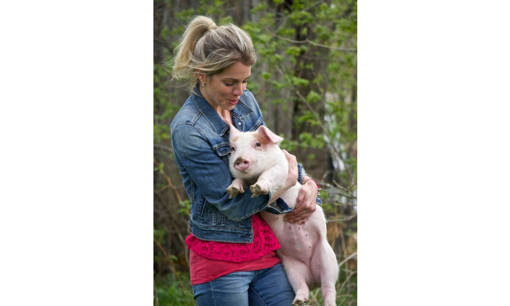 Permaculture et animaux