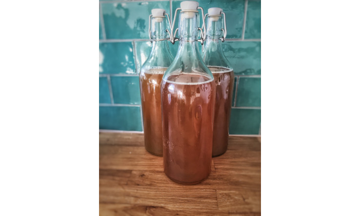 Kombucha
