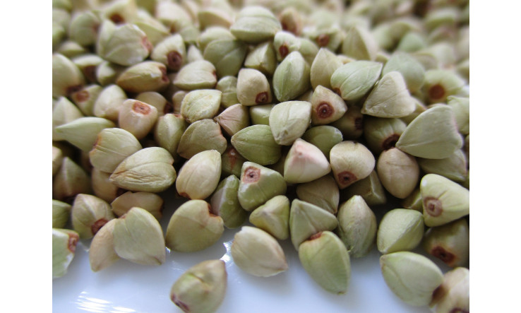 Salade sarrasin-lentilles